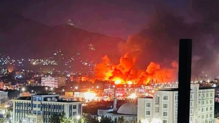 WhatsApp Image 2026-03-17 at 1.46.40 PM