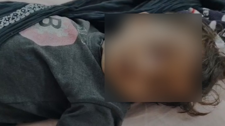 WhatsApp Image 2026-03-17 at 2.46.28 PM