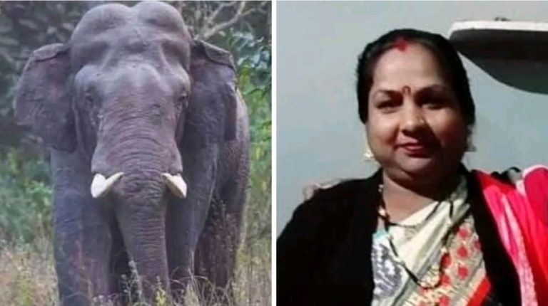 WhatsApp Image 2026-03-22 at 4.48.56 PM