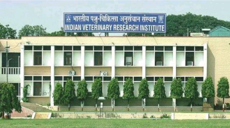 WhatsApp Image 2026-03-26 at 6.34.26 PM