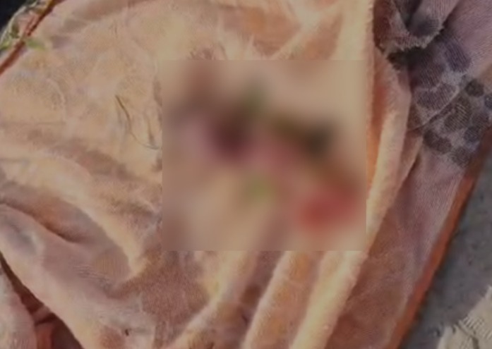 WhatsApp Image 2026-04-06 at 8.03.14 PM