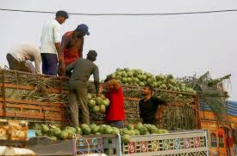 WhatsApp Image 2026-04-11 at 2.49.21 PM