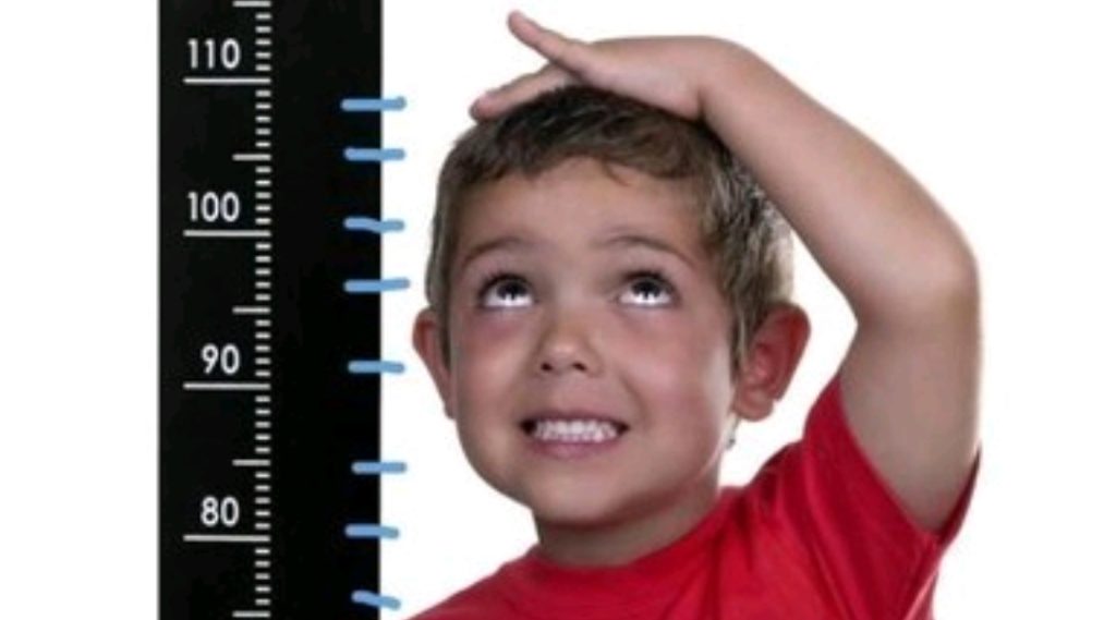 WhatsApp Image 2026-04-16 at 7.42.56 PM