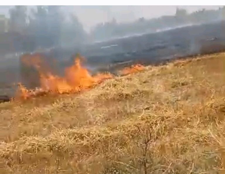 WhatsApp Image 2026-04-18 at 8.21.21 PM