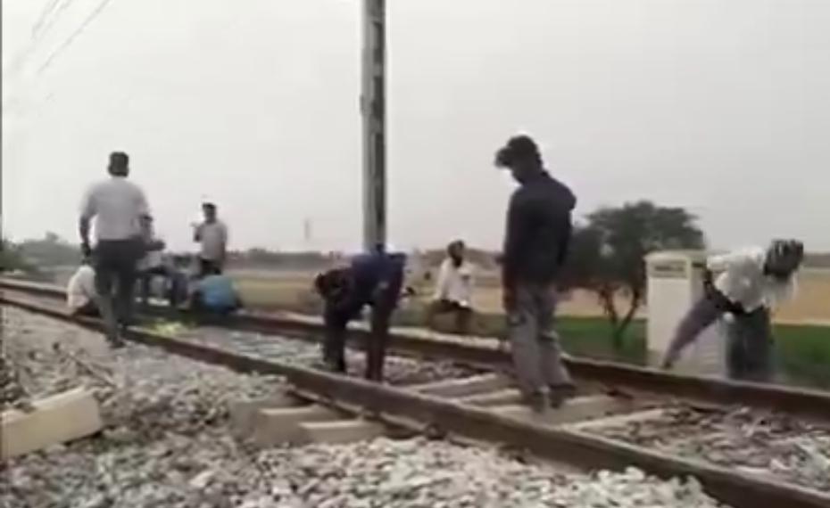 WhatsApp Image 2026-04-28 at 12.15.58 PM (1)