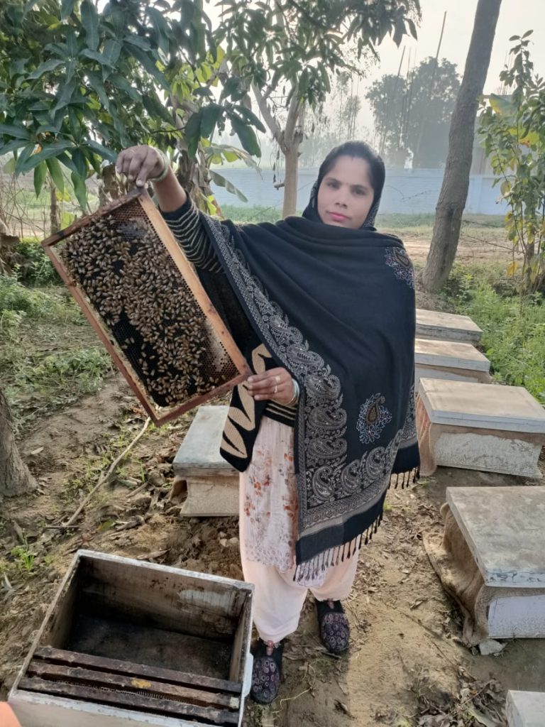 WhatsApp Image 2026-09-18 at 6.47.53 PM