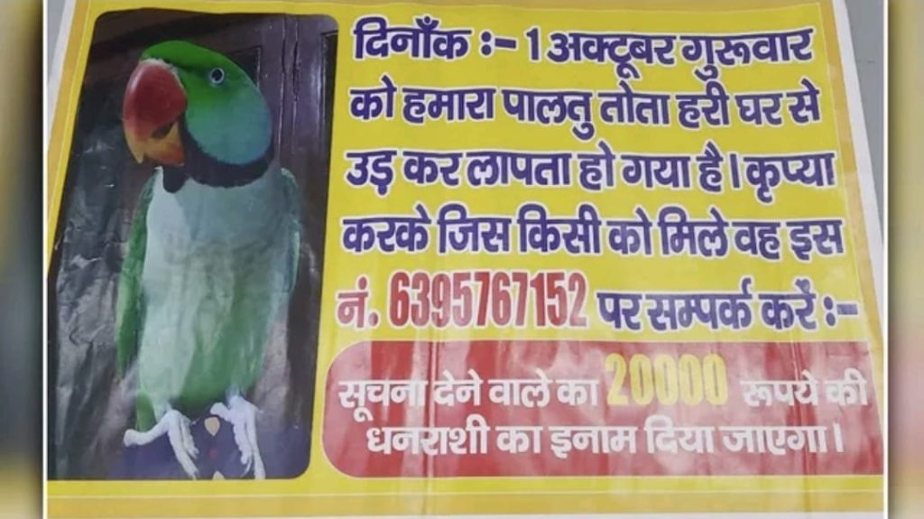WhatsApp Image 2026-10-27 at 5.12.44 PM