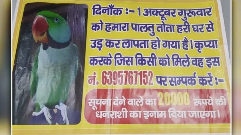 WhatsApp Image 2026-10-27 at 5.12.44 PM
